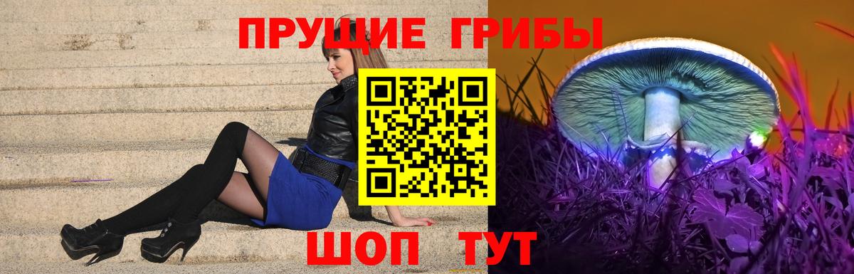 Псилоцибиновые грибы Cubensis Большой Камень